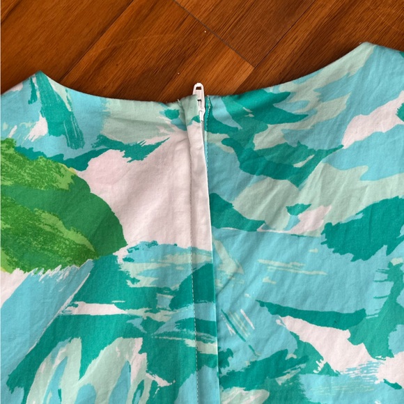 Lilly Pulitzer A-Line dress, ECU - Picture 9 of 12